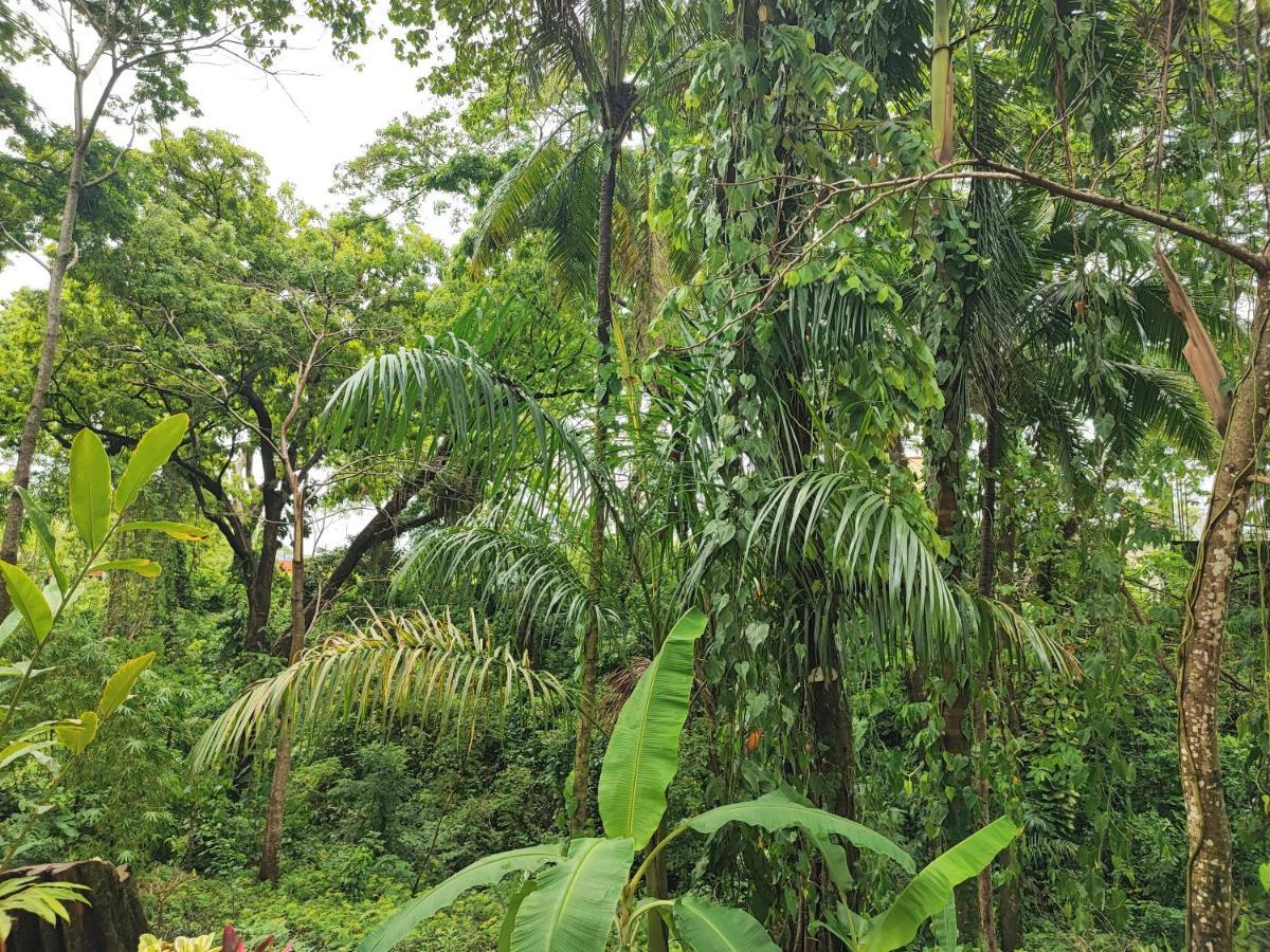 Casa Hadassa La Canada Palenque Esterno foto